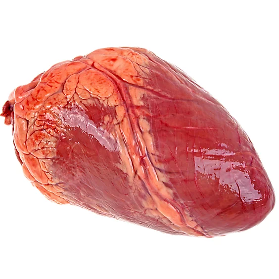 Economy Beef Heart