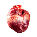 Economy Beef Heart