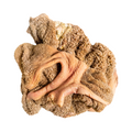 Commercial Beef Tripe