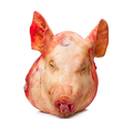 Premium Pork Head Whole 4Kgs Minimum
