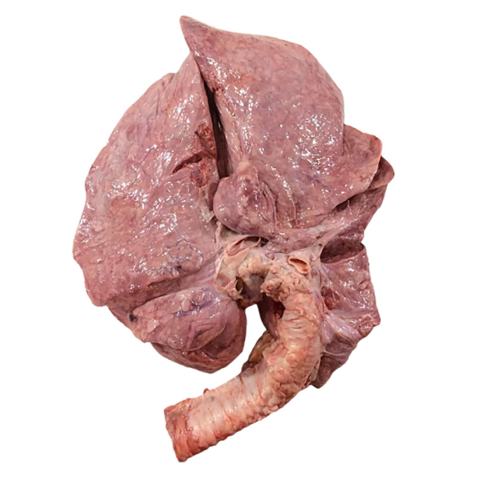 Commercial Beef Lung