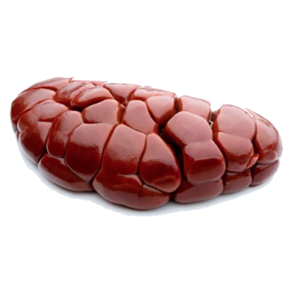 Commercial Beef Kidney 1kg