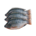 Kariba Bream
