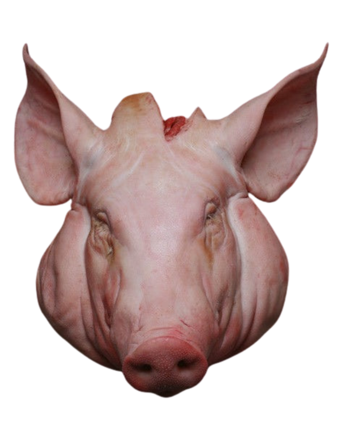 Pig Head Cuts